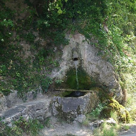 Le Mas Fa Sua Bed and Breakfast Malataverne Esterno foto