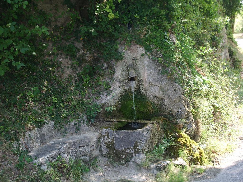 Le Mas Fa Sua Bed and Breakfast Malataverne Esterno foto